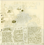 1972-24