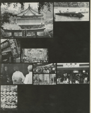 1976-31