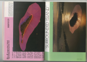 1983-22