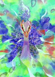 2015-020