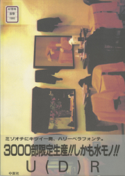 pamphlet36