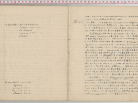 kuzuhara159